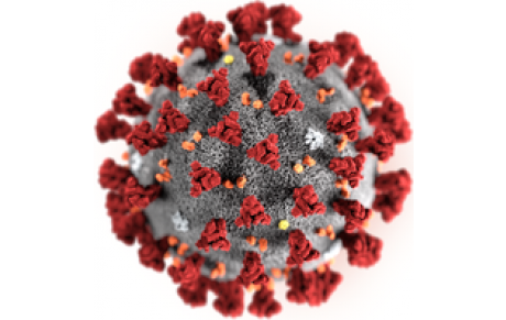 Covid-19 : informations de la FFTir (MàJ du 21/01/2021)
